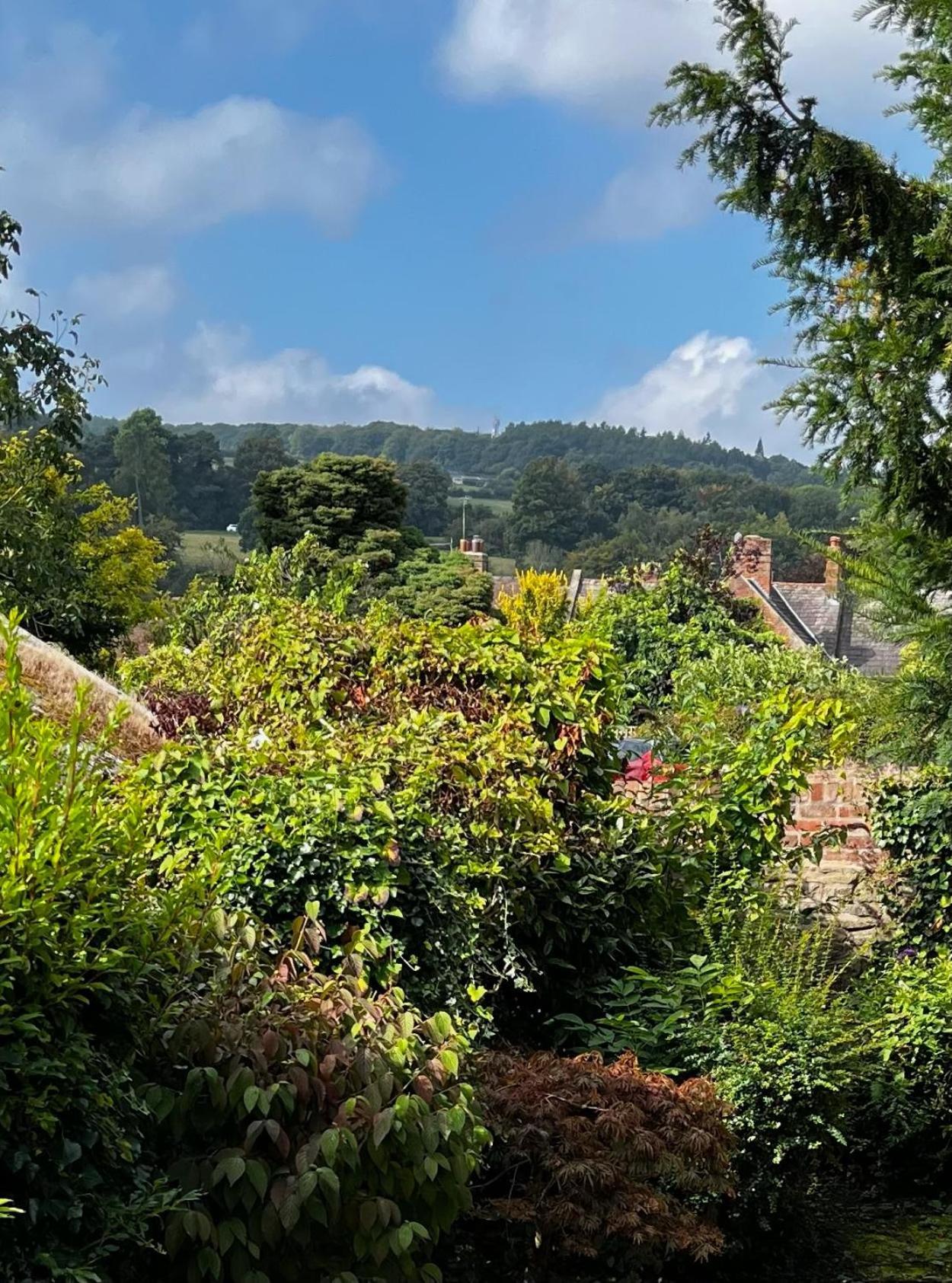 Bell Cottage By Ludlow Castle With Onsite Parking Экстерьер фото
